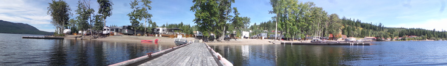 Deer at Birch Bay Resort on Francois Lake, BC