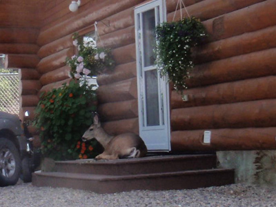 Visitors at Birch Bay Resort on Francois Lake, BC